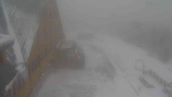 Parkoviště a hlavní vchod