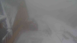 Parkoviště a hlavní vchod