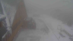 Parkoviště a hlavní vchod