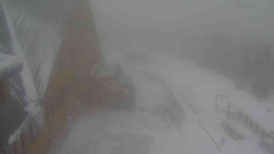 Parkoviště a hlavní vchod