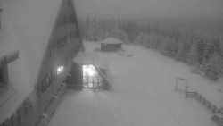 Parkoviště a hlavní vchod