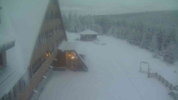 Parkoviště a hlavní vchod