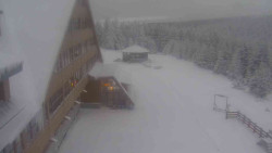 Parkoviště a hlavní vchod