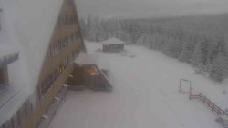 Parkoviště a hlavní vchod