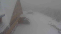 Parkoviště a hlavní vchod