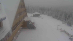 Parkoviště a hlavní vchod