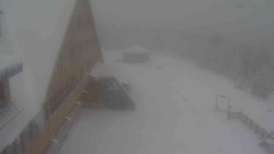 Parkoviště a hlavní vchod