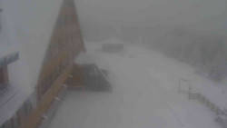 Parkoviště a hlavní vchod