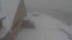 Parkoviště a hlavní vchod