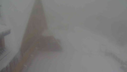 Parkoviště a hlavní vchod