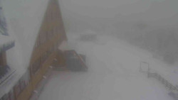 Parkoviště a hlavní vchod