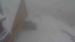 Parkoviště a hlavní vchod