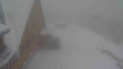 Parkoviště a hlavní vchod