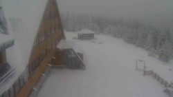 Parkoviště a hlavní vchod