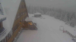 Parkoviště a hlavní vchod