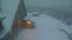 Parkoviště a hlavní vchod