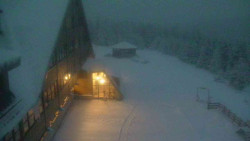 Parkoviště a hlavní vchod