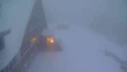 Parkoviště a hlavní vchod