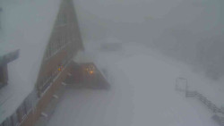 Parkoviště a hlavní vchod