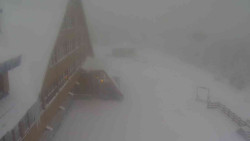 Parkoviště a hlavní vchod