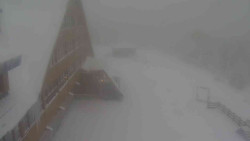 Parkoviště a hlavní vchod