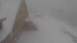 Parkoviště a hlavní vchod