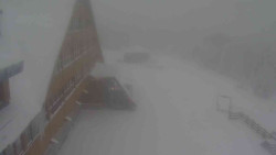 Parkoviště a hlavní vchod