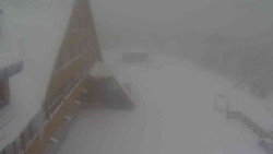 Parkoviště a hlavní vchod