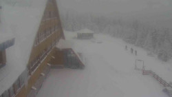 Parkoviště a hlavní vchod