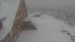 Parkoviště a hlavní vchod