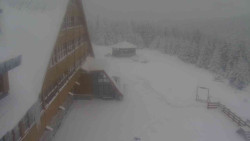 Parkoviště a hlavní vchod