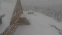 Parkoviště a hlavní vchod