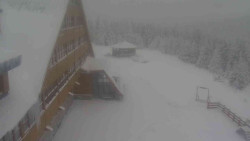 Parkoviště a hlavní vchod