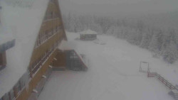 Parkoviště a hlavní vchod