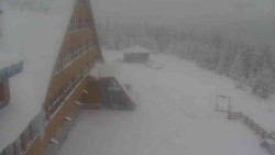 Parkoviště a hlavní vchod