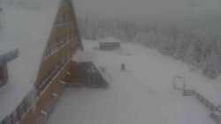 Parkoviště a hlavní vchod