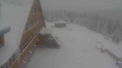 Parkoviště a hlavní vchod