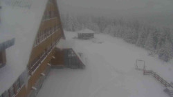 Parkoviště a hlavní vchod