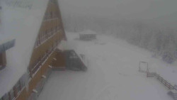 Parkoviště a hlavní vchod