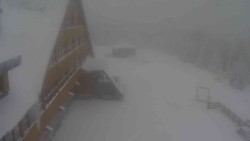 Parkoviště a hlavní vchod