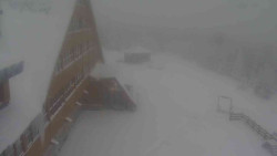 Parkoviště a hlavní vchod