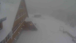 Parkoviště a hlavní vchod