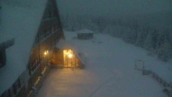 Parkoviště a hlavní vchod