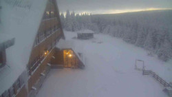 Parkoviště a hlavní vchod