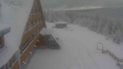 Parkoviště a hlavní vchod