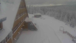 Parkoviště a hlavní vchod