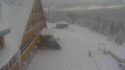 Parkoviště a hlavní vchod