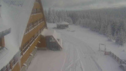 Parkoviště a hlavní vchod