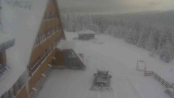 Parkoviště a hlavní vchod