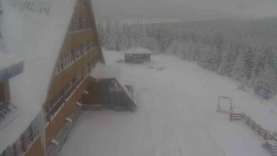 Parkoviště a hlavní vchod